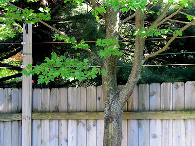 Above Ground Radials on Fence Above Ground Radials on Fence